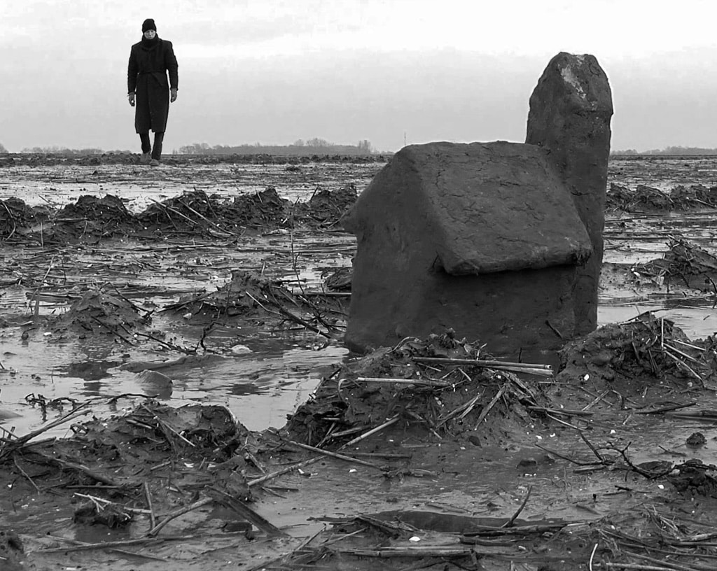 Stefan Belderbos: Dwalen